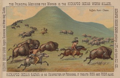 Nativos americanos cazando búfalos a caballo de American School